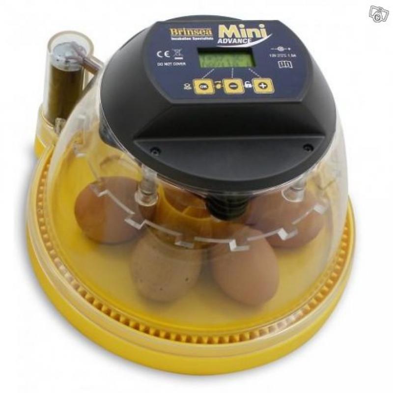 Äggkläckningsmaskin Brinsea från england